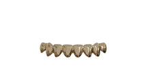 Load image into Gallery viewer, Solid Gold Grillz