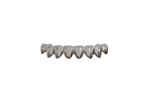 Load image into Gallery viewer, Solid Silver Grillz