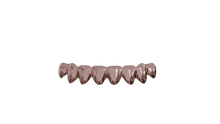 Load image into Gallery viewer, Solid Gold Grillz